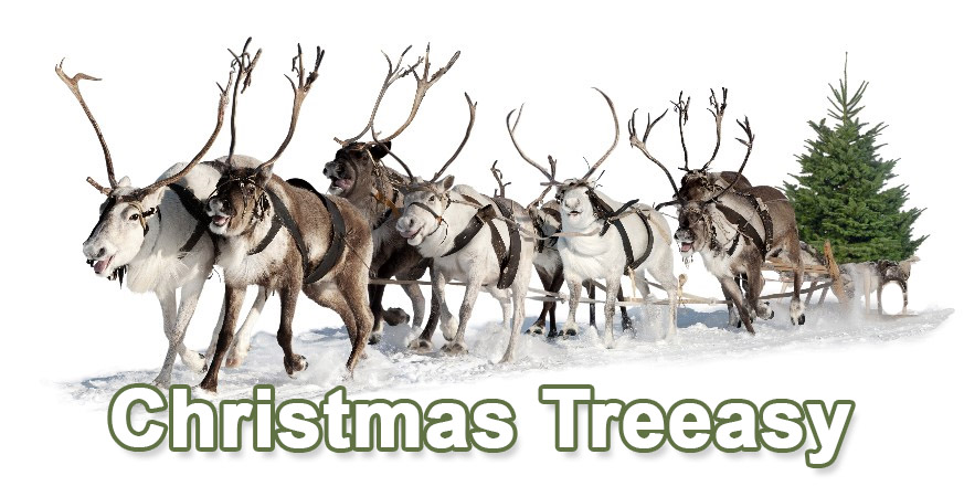 Christmas Treeasy