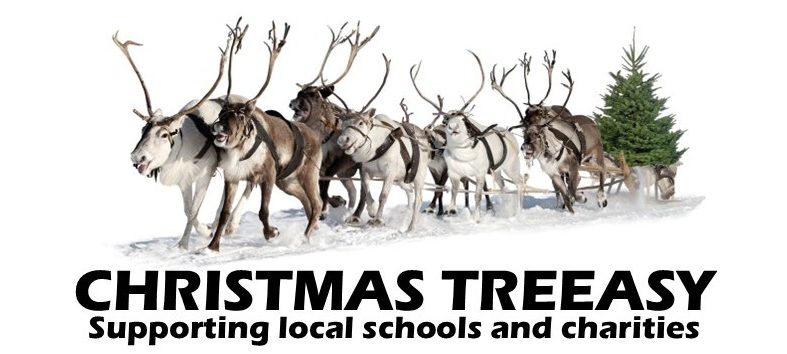 Christmas Treeasy